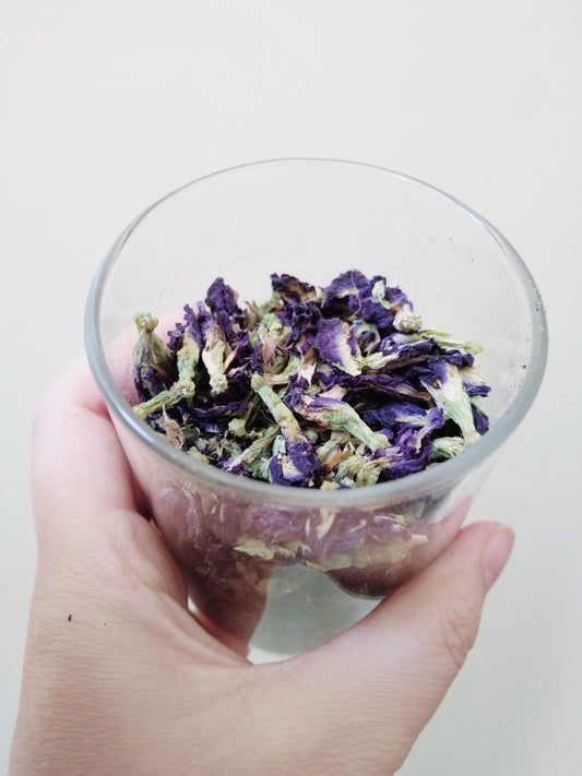 Butterfly Peaflower Herbal Tea β A Sip of Natural Magic